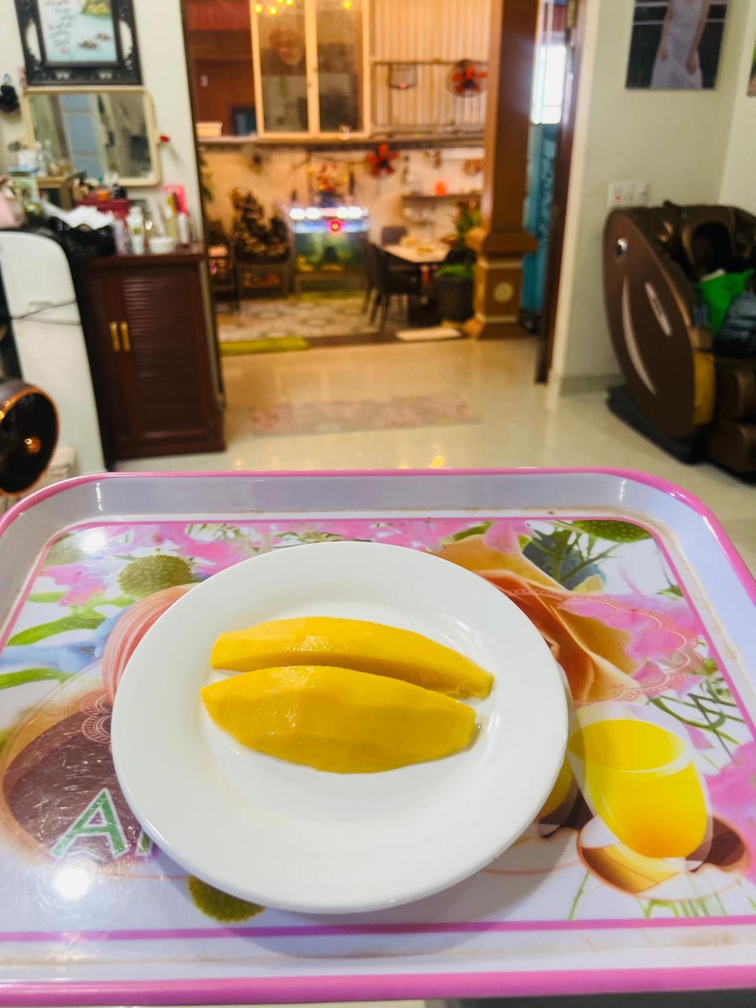 Cat Ba Mystery Homestay Dong Khe Sau Buitenkant foto